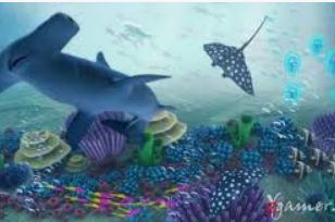 壹号.ccm下载1682024最新版